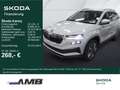 Skoda Karoq Tour 1.5 TSI DSG/Lodge/AHK/Matrix/Pano/360 Grau - thumbnail 1