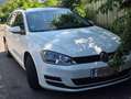 Volkswagen Golf Variant Weiß - thumbnail 4