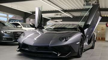 SV Roadster 1of 500 Lift/Carbon
