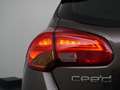 Kia Ceed / cee'd 1.6 GDI Plus Pack Brun - thumbnail 5