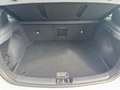 Hyundai i30 N Performance 2.0 T-GDI 8DCT Sitzp.''15.500km'' Blanc - thumbnail 11