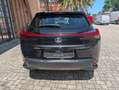 Lexus UX 250h 2.0 Hybrid Business Tagliandata Lexus Nazionale Nero - thumbnail 5