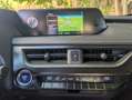 Lexus UX 250h 2.0 Hybrid Business Tagliandata Lexus Nazionale Nero - thumbnail 13