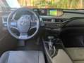 Lexus UX 250h 2.0 Hybrid Business Tagliandata Lexus Nazionale Nero - thumbnail 11