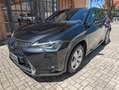 Lexus UX 250h 2.0 Hybrid Business Tagliandata Lexus Nazionale Nero - thumbnail 1