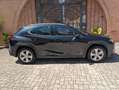 Lexus UX 250h 2.0 Hybrid Business Tagliandata Lexus Nazionale Nero - thumbnail 6