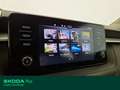 Skoda Fabia 1.0 mpi evo ambition 65cv Bianco - thumbnail 9