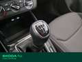 Skoda Fabia 1.0 mpi evo ambition 65cv Bianco - thumbnail 10