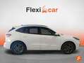 Ford Kuga 1.5 EcoBoost ST-Line FWD 150 Blanc - thumbnail 4