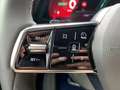 Renault Scenic ESPRIT ALPINE 220 LONG RANGE Techno KAMERA+LED Grau - thumbnail 22