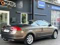 Ford Focus 2.0 Cabrio Titanium/12 Monate Garantie Brun - thumbnail 9
