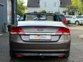 Ford Focus 2.0 Cabrio Titanium/12 Monate Garantie Brun - thumbnail 11