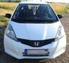 Honda Jazz Jazz 1.2 i-VTEC 50 Jahre Edition Weiß - thumbnail 4