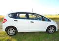 Honda Jazz Jazz 1.2 i-VTEC 50 Jahre Edition Weiß - thumbnail 3