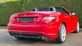 Mercedes-Benz SLK 200 AMG/Navi/Airscarf/Harm-Kardon/Pano Rot - thumbnail 5