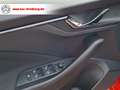 Skoda Scala Drive 125#LED#Android# Rot - thumbnail 16