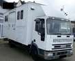 Iveco 80E15 Pferdetransport 4 Pferde 4(Grün) HU neu Blanc - thumbnail 3