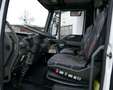 Iveco 80E15 Pferdetransport 4 Pferde 4(Grün) HU neu Blanc - thumbnail 8