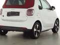 smart forTwo EQ cabrio Exclusive+22kw+Winter Paket+Kamera Klima Weiß - thumbnail 9