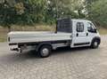 Fiat Ducato Maxi Pritschenwagen Weiß - thumbnail 4