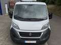 Fiat Ducato Maxi Pritschenwagen Weiß - thumbnail 5