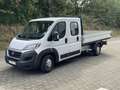 Fiat Ducato Maxi Pritschenwagen Weiß - thumbnail 1