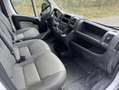 Fiat Ducato Maxi Pritschenwagen Weiß - thumbnail 9