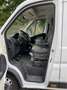 Fiat Ducato Maxi Pritschenwagen Weiß - thumbnail 8