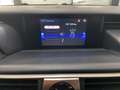 Lexus IS 300 300h Business Azul - thumbnail 25