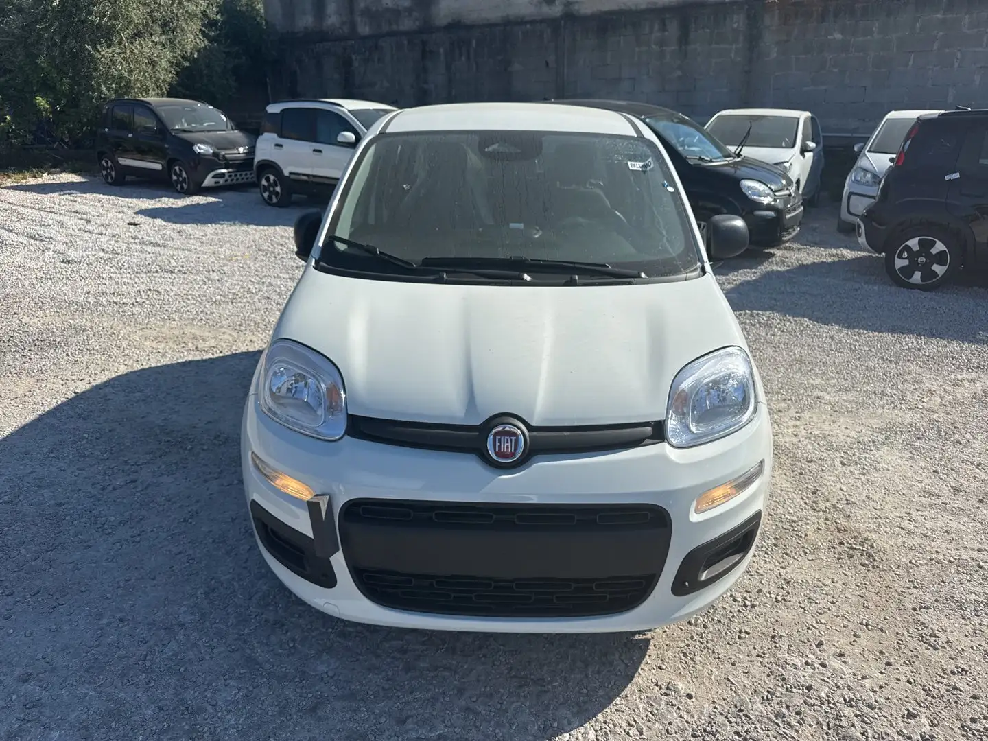 Fiat Panda N. 1.0 70cv Hybrid Panda Weiß - 1