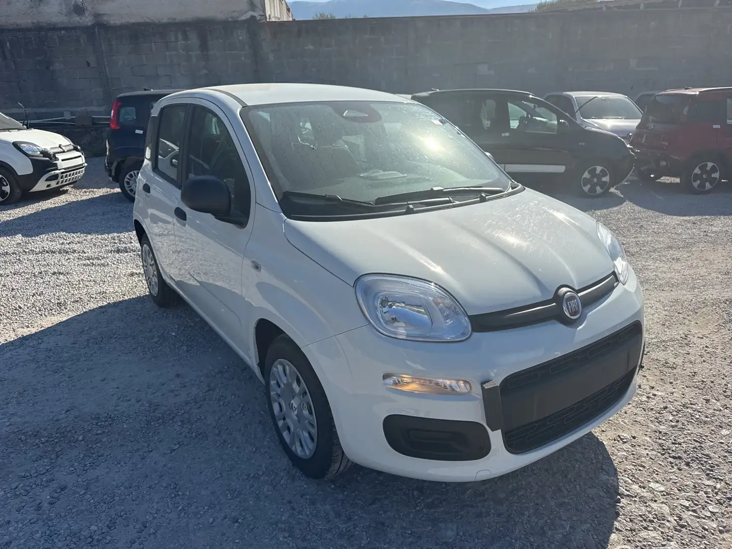 Fiat Panda N. 1.0 70cv Hybrid Panda Weiß - 2