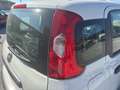 Fiat Panda N. 1.0 70cv Hybrid Panda Weiß - thumbnail 9