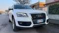 Audi Q5 Bianco - thumbnail 3