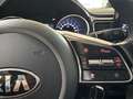 Kia Ceed SW / cee'd SW Ceed SW 1.6CRDI MH Aut.Vision ACC NaviWinter RfK Schwarz - thumbnail 14