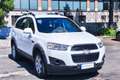 Chevrolet Captiva Captiva 2.2 VCDi 163CV 2WD LT Wit - thumbnail 3