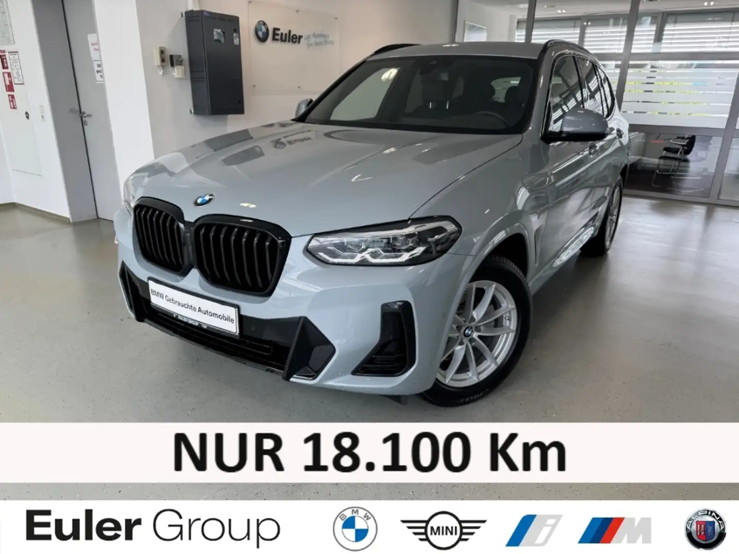BMW X3 20i M-Sport Sommer18'' LC+ SportLenk ParkAss  El.e Grau - 1