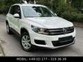 Volkswagen Tiguan 1.4 Trend & Fun BMT*ALUFELGEN*PDC*ISOFIX Blanc - thumbnail 10