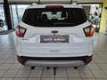 Ford Kuga Titanium PICKERL NEU, PDC, RFK, NAVI, AHK Weiß - thumbnail 6