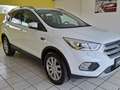 Ford Kuga Titanium PICKERL NEU, PDC, RFK, NAVI, AHK Weiß - thumbnail 9