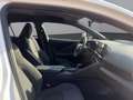 Toyota C-HR 1,8 Hybrid E-CVT Active Weiß - thumbnail 16