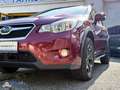 Subaru XV Comfort Allrad Rot - thumbnail 2
