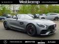 Mercedes-Benz AMG GT AMG GT C Roadster Perf.Sitze+2xCarbon+Perf.Abgas Gris - thumbnail 24