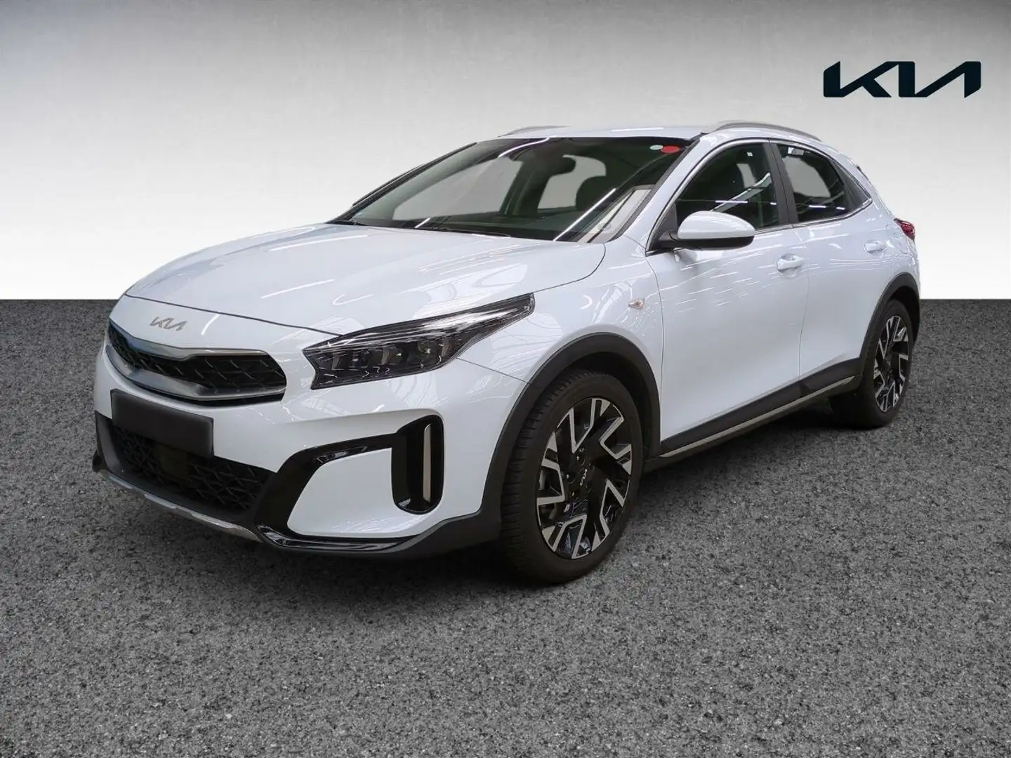 Kia XCeed Xceed 1.5 T-GDI Vision DCT7 Komfort Navi Kamera Weiß - 2