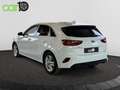 Kia Ceed / cee'd 1.0 T-GDI Drive 100 Alb - thumbnail 2