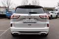 Ford Kuga 1.5 ecoblue ST-Line 2wd 120cv auto Bianco - thumbnail 5