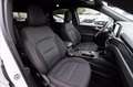 Ford Kuga 1.5 ecoblue ST-Line 2wd 120cv auto Bianco - thumbnail 15
