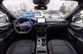 Ford Kuga 1.5 ecoblue ST-Line 2wd 120cv auto Bianco - thumbnail 8