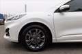 Ford Kuga 1.5 ecoblue ST-Line 2wd 120cv auto Bianco - thumbnail 7