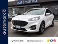 Ford Kuga 1.5 ecoblue ST-Line 2wd 120cv auto Bianco - thumbnail 1