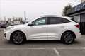 Ford Kuga 1.5 ecoblue ST-Line 2wd 120cv auto Bianco - thumbnail 3